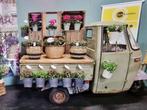 Piaggio's te huur! - Koffiebar/IJsbar - Tuk Tuk huren, Ophalen of Verzenden, Zo goed als nieuw, Overige