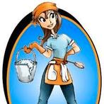 Huishoudelijke hulp / schoonmaakster gezocht Wehl, Vacatures, Vacatures | Schoonmaak en Facilitaire diensten