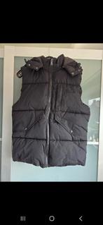 Malelions bodywarmer, Ophalen of Verzenden, Nieuw, Zwart