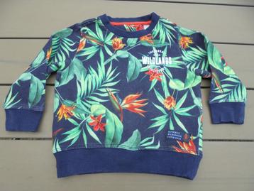 Blauw groene trui WE beschikbaar voor biedingen