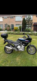 Yamaha TDM 850, Ophalen, Gereviseerd
