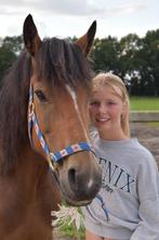 lieve pony, Dieren en Toebehoren, Pony's, B, 3 tot 6 jaar, Gechipt, Recreatiepony