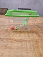 Mini Aquarium/Terrarium/Faunarium, Ophalen of Verzenden, Nieuw, Jongen of Meisje