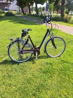 Koga Miyata tesla (Sport Edition), Fietsen en Brommers, Elektrische fietsen, Overige merken, Ophalen of Verzenden, Zo goed als nieuw