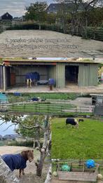 2 pension plekjes aangeboden in Oude-Tonge voor pony merries, Dieren en Toebehoren, Stalling en Weidegang, Weidegang, 2 of 3 paarden of pony's