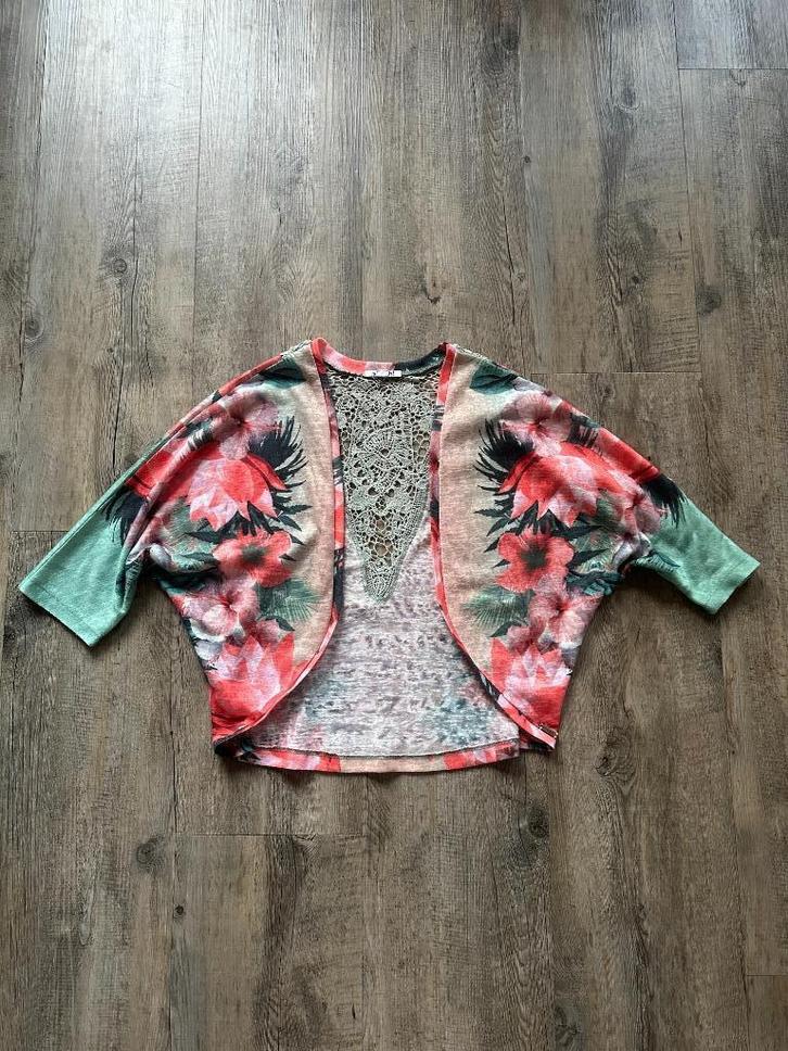 Super leuk vestje van SMASH!, maat L, ZGAN!, Kleding | Dames, Truien en Vesten, Zo goed als nieuw, Maat 42/44 (L), Overige kleuren