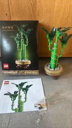 Lego 10344 Lucky Bamboo, Ophalen of Verzenden, Zo goed als nieuw, Complete set, Lego