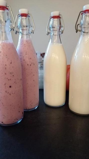 Verse melk kefir beschikbaar voor biedingen