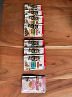 Hills kitten, Ophalen of Verzenden, Kat