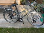 Koga Randonneur Lady 54cm - Damesfiets, Ophalen, Gebruikt, Overige merken, Versnellingen