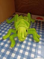 Sprinkhaan knuffel Albert Heijn 22 cm groot, Kinderen en Baby's, Speelgoed | Knuffels en Pluche, Ophalen of Verzenden, Zo goed als nieuw