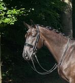 Super knappe brave ruin, Dieren en Toebehoren, Paarden, Z, Gechipt, Ruin, Dressuurpaard