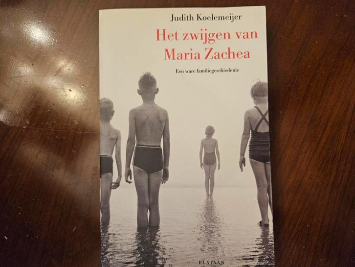 Judith Koelemeijer - Het zwijgen van Maria Zachea, Boeken, Overige Boeken, Zo goed als nieuw, Ophalen of Verzenden