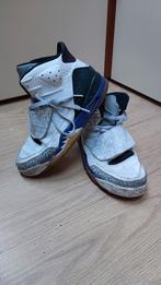 Nike Air Jordan, maat 42,5  gedragen, Kleding | Heren, Schoenen, Wit, Ophalen of Verzenden, Sneakers of Gympen, Gedragen