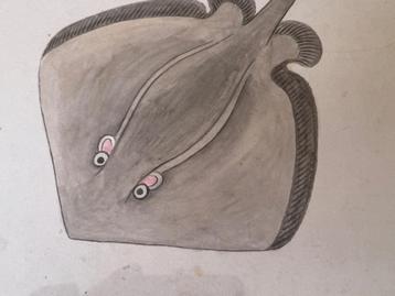 Tekening Vis Japans >> Edo / Meiji periode 1868-1912 beschikbaar voor biedingen