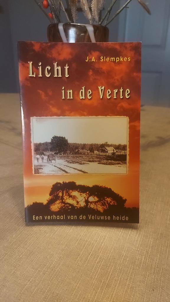 Licht in de Verte - Veluwse Heide Verhaal, Boeken, Streekboeken en Streekromans, Gelezen, Gelderland, Ophalen of Verzenden