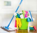 Schoonmaker aangeboden, Overige vormen