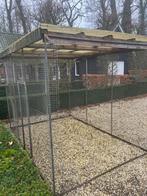 Kippenren te koop, Dieren en Toebehoren, Ophalen, Gebruikt, Kippenhok of Kippenren