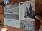 Artikel over jacht op robben tussen Texel en Vlieland 1951, Ophalen of Verzenden, 1940 tot 1960, Knipsel(s)
