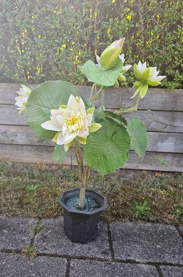 Kunstplant met plantenbak beschikbaar voor biedingen