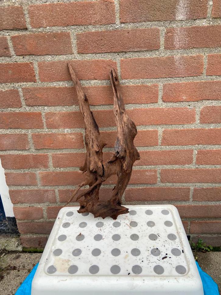 Aquariumhout kienhout XL, Dieren en Toebehoren, Vissen | Aquaria en Toebehoren, Zo goed als nieuw, Plant(en), Steen of Hout, Ophalen of Verzenden