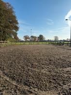 Betaalde mesthulp gezocht, Diensten en Vakmensen