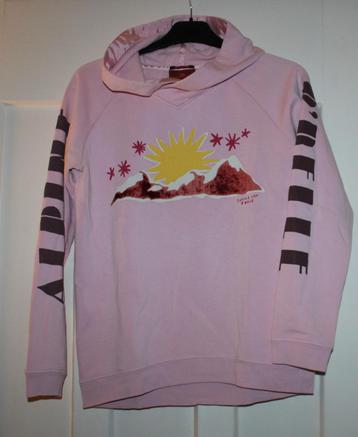 Hoodie van Scotch & Soda maat 14 beschikbaar voor biedingen