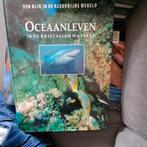 Cox - Blik in de kleurryke wereld oceaanleven 18, Ophalen of Verzenden, Zo goed als nieuw, Cox