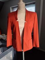 Drykorn  dames jasje / colbert zgan brique terra mt  4, Maat 38/40 (M), Drykorn, Bruin, Ophalen of Verzenden