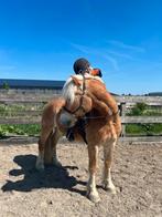 Leasepony/leasepaard gezocht, bijrijder aangeboden!, Dieren en Toebehoren, Ophalen of Verzenden