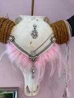 Stieren Schedel met Roze Veren en Strass, Ophalen, Nieuw