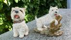 Westie/west highland white terriër beeldje, Ophalen, Zo goed als nieuw, Dier