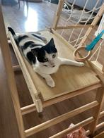 warm mandje voor Charlie de poes gezocht, Poes