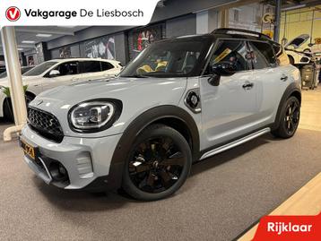 Mini Mini Countryman 2.0 Cooper S E ALL4 Untamed Edition / l beschikbaar voor biedingen