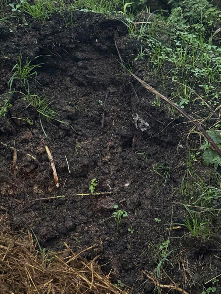 Compost Paardenmest - Natuurlijke Bodemverbeteraar, Tuin en Terras, Aarde en Mest, Compost, Ophalen