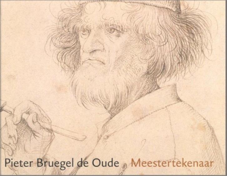 Pieter Bruegel de Oude - Meestertekenaar, Boeken, Kunst en Cultuur | Beeldend, Zo goed als nieuw, Schilder- en Tekenkunst, Ophalen of Verzenden