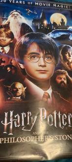 Harry Potter poster 60x90 cm zgan, Ophalen of Verzenden, Zo goed als nieuw