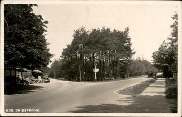 Ede Driesprong  st 1946 militair beschikbaar voor biedingen