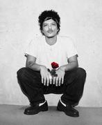 Bruno Mars - 7 Juli - 2 Zitplekken eerste ring, Twee personen, Juli