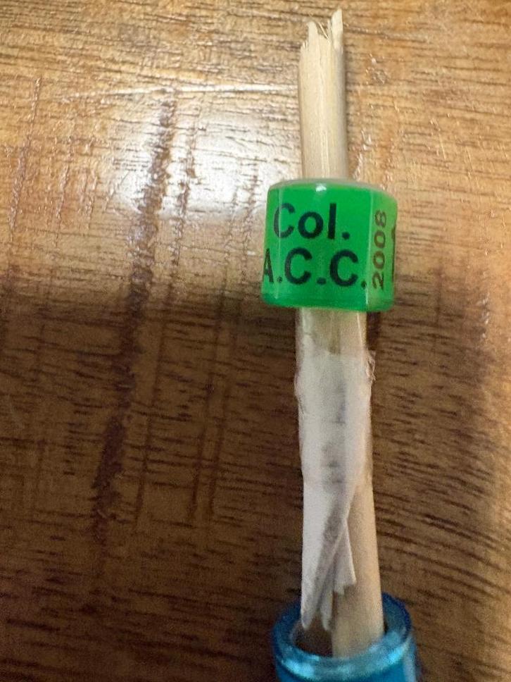 Duivenring, Dieren en Toebehoren, Vogels | Duiven, Postduif, Mannelijk