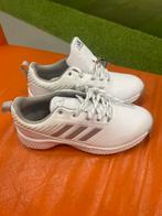 Nieuwe Adidas Golfschoenen Dames - Maat 36 2/3, Kleding | Dames, Schoenen, Ophalen of Verzenden, Nieuw, Wit, Sportschoenen