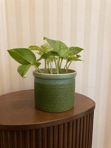 Vintage bloempot met prachtig kleurverloop groen/ blauw beschikbaar voor biedingen