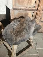 Konijnenvacht vacht konijn taxidermie sober landelijk jwm, Nieuw, Ophalen of Verzenden