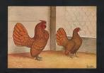 Pluimvee Kippen Sebright Goud Boerderij, Van Gink., Ophalen of Verzenden, 1980 tot heden, Ongelopen, Vogel