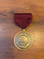 Us navy medaille, Ophalen of Verzenden, Marine, Amerika, Lintje, Medaille of Wings