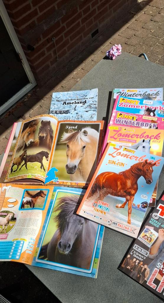 Penny paarden boeken en tijdschriften, Boeken, Dieren en Huisdieren, Zo goed als nieuw, Ophalen of Verzenden
