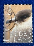 3135  NL 2020 - Beleef de Natuur- Kustvogels- gestempeld, Na 1940, Ophalen, Gestempeld