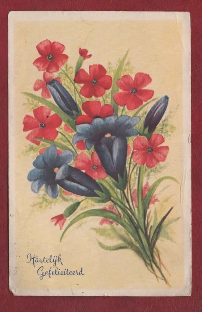 Hartelijk Gefeliciteerd - Bloemen (Rode en Blauwe) - jr.'50, Verzamelen, Ansichtkaarten | Themakaarten, Gelopen, 1940 tot 1960