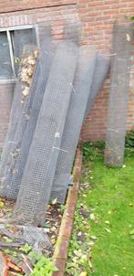 voliere gaas, Dieren en Toebehoren, Mannelijk