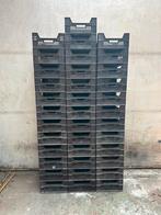 Kunststof Kratten op Pallets - Veenmanskisten, Ophalen, 100 cm of meer, 60 cm of meer, Minder dan 35 cm